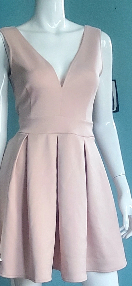 NWT Forever 21 Pink sleeveless pleated dress